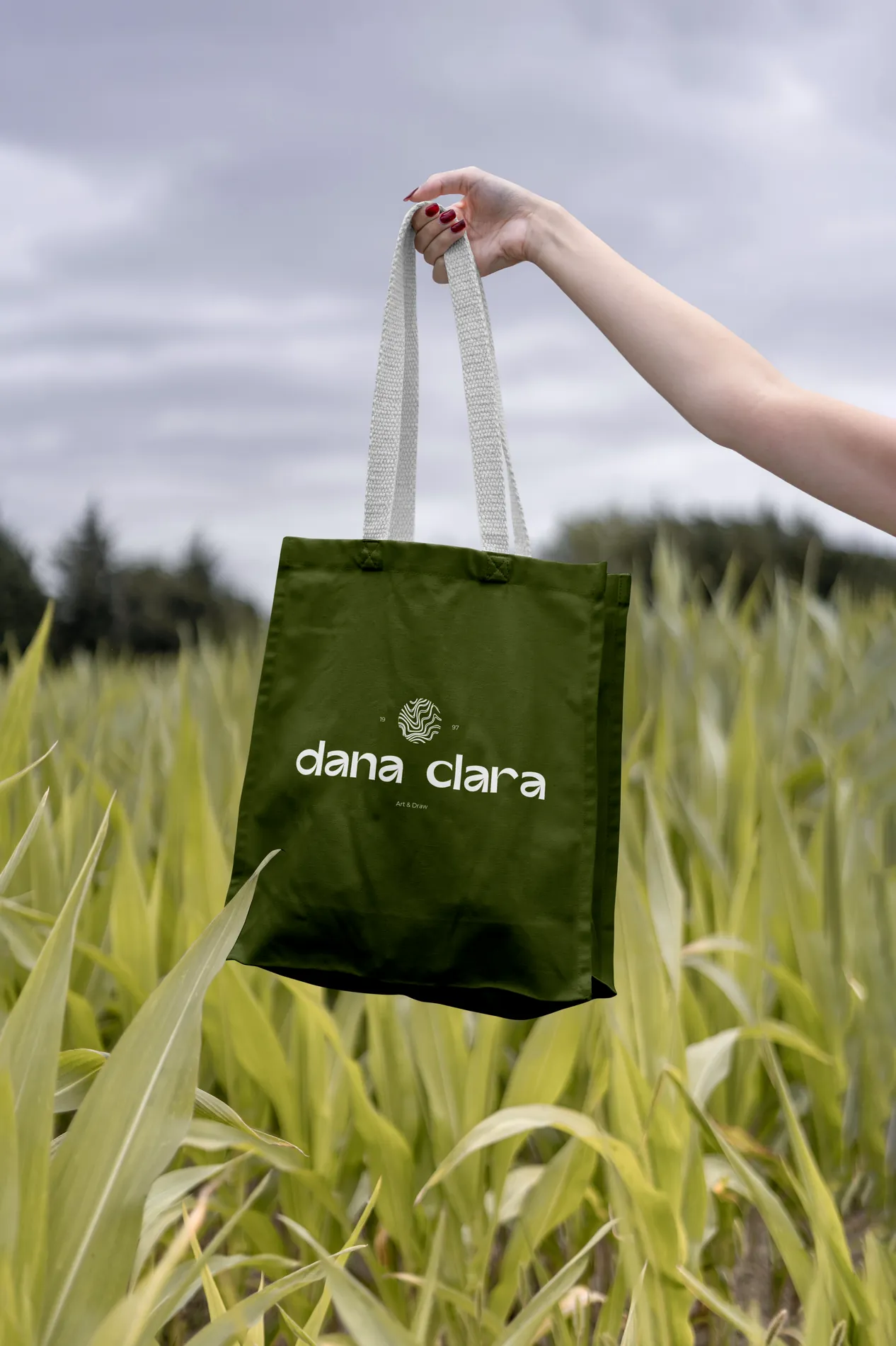Dana Clara — branding para artista e ilustradora