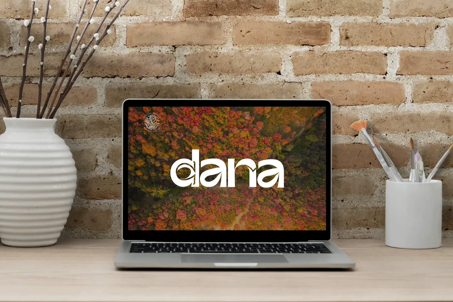 Dana Clara — Branding · Identidad visual, Simbiosi Studio