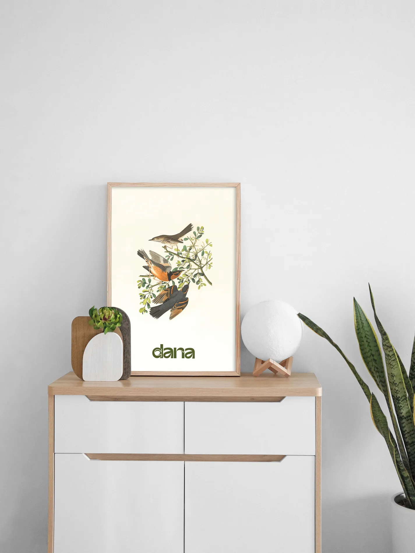 Dana Clara — Branding · Identidad visual, Simbiosi Studio