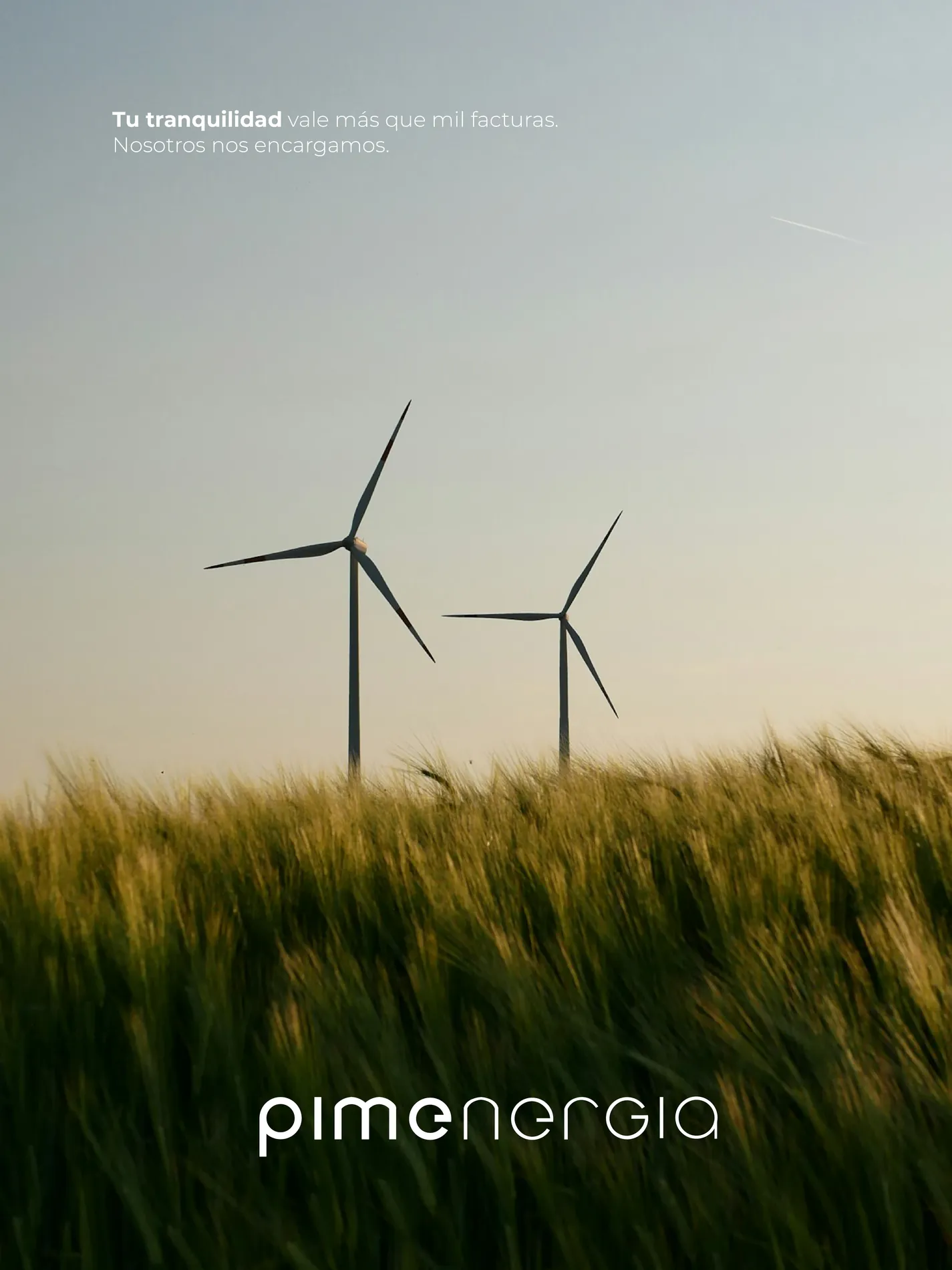 Pimenergia — Branding, Simbiosi Studio
