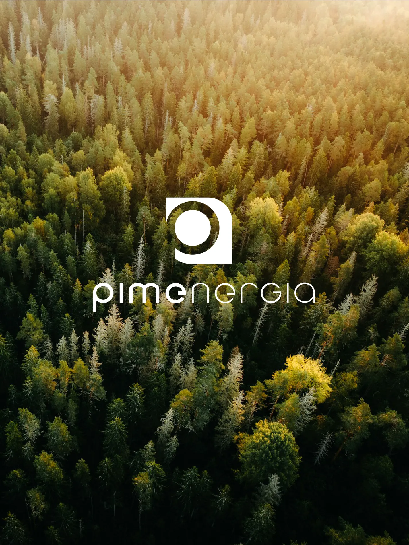 Pimenergia — Branding · Web, Simbiosi Studio